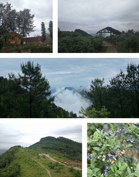 1659508592793506.png image.png