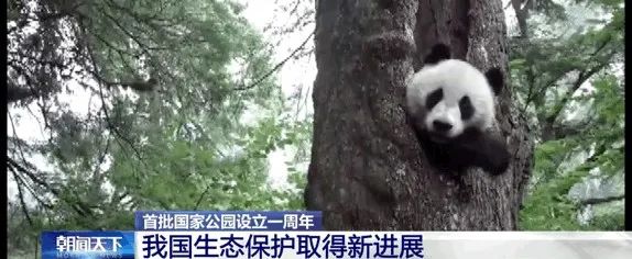 1666839735507688.jpg 12.jpg