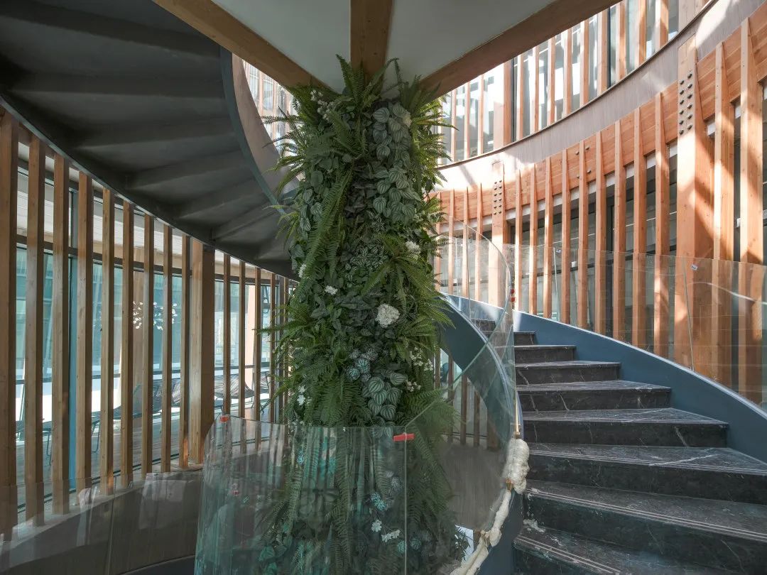 1667455529211544.jpg 17.jpg