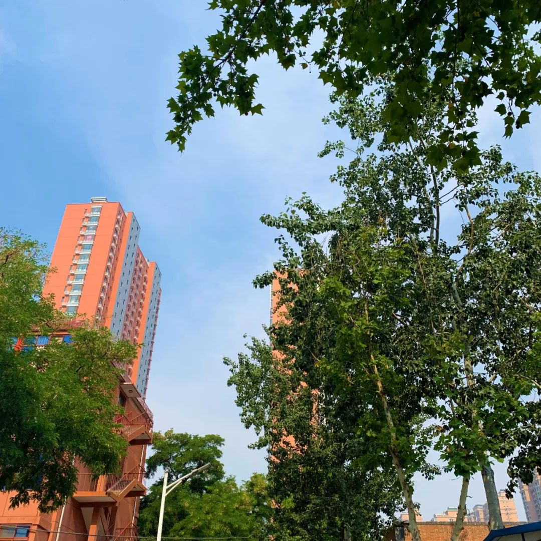 1668138387131109.jpg 1.jpg