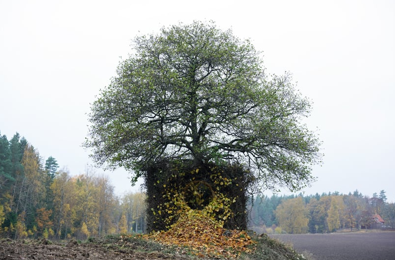 1668737073887917.png 2.png