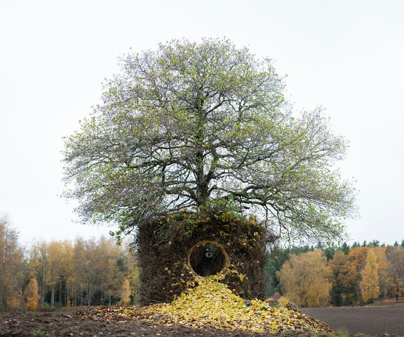 1668737116342188.png 3.png