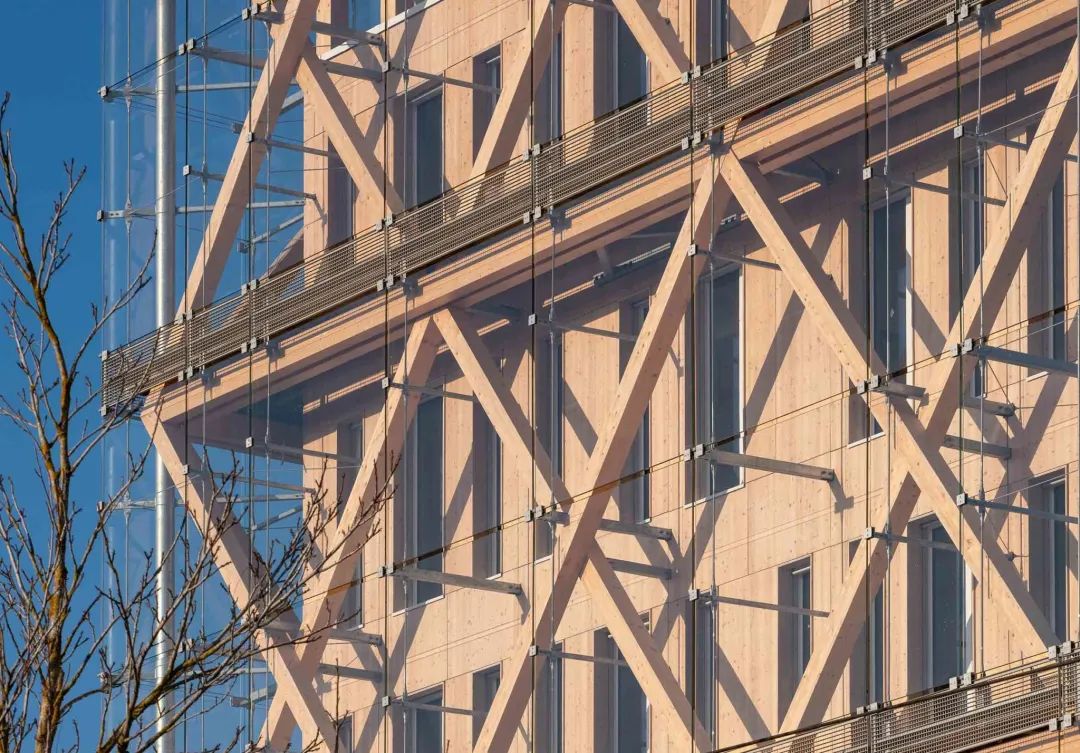 1673926191556917.jpg 16.jpg