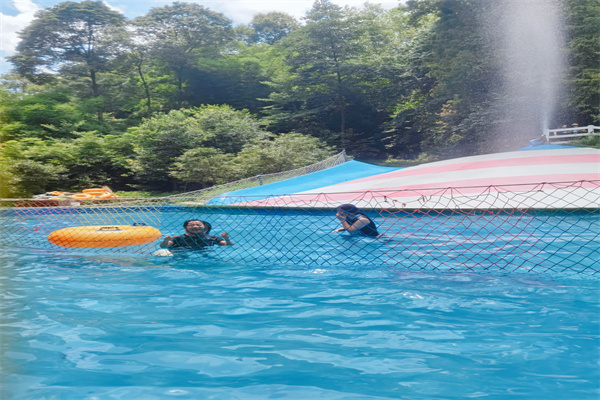 1692150643117799.jpg 4.jpg